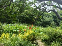 -昆山城市生态森林公园