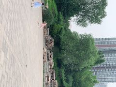 -望湖公园