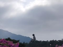 -昂坪360缆车
