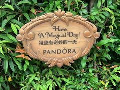 -小熊维尼历险之旅