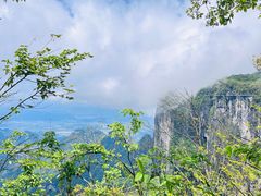 -张家界天门山国家森林公园