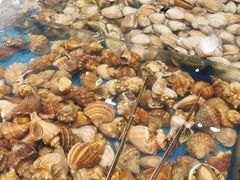 -半岛听涛蒸汽海鲜自助(K11店)