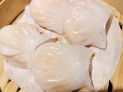 -高第街56号餐厅(凯德mall新都心店)