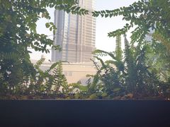 -柿合缘新京菜(国金中心商场店)
