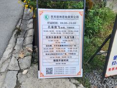 -西双版纳原始森林公园