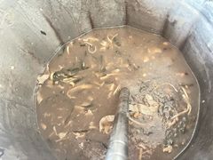 胡辣汤-郓城壮馍(梁山分店)