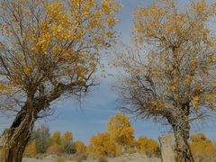 -新疆国际大巴扎