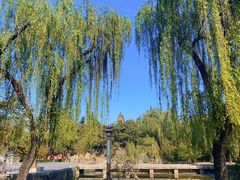 -洛阳白马寺