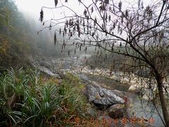 -祁门牯牛降观音堂风景区