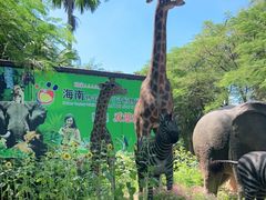 -海南热带野生动植物园