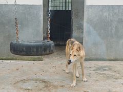 -青峰峡国家森林公园