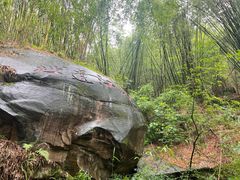 -铁山坪森林公园