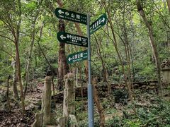 -紫金山山顶公园