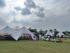 -暮谷MUGO ·团建聚会·露营烧烤·生日派对·共享菜地