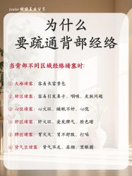 点击看大图 -玛莲朵·海菲秀冰珀科