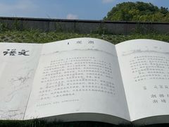 -观潮胜地公园