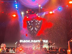 -春花秋色城市公园