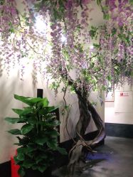 -盘子女人坊生日照·摄影馆(华强店)
