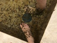 -中家鑫园温泉酒店鑫悦汤泉