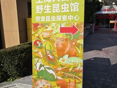 -上海大自然野生昆虫馆(东方明珠·爬宠昆虫探索中心)