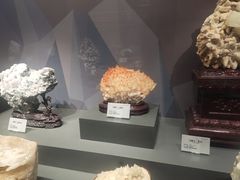 -湖南省地质博物馆