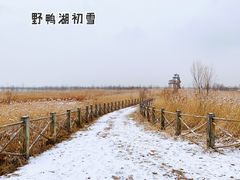 -野鸭湖国家湿地公园