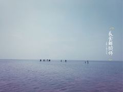 -北海金海湾红树林生态旅游区