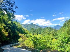 -黑河国家森林公园