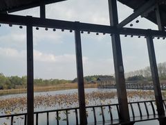 -溱湖国家湿地公园