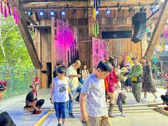 -西双版纳原始森林公园