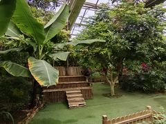-呀路古热带植物园