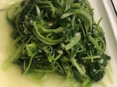 蒜蓉鸡毛菜-19号私房菜(云南路店)