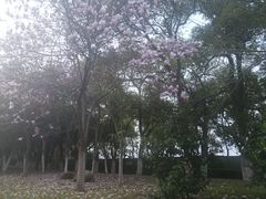 -南昌青山湖风景区