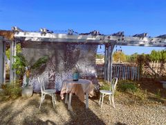 -安德鲁户外烧烤帐篷营地(马泉营店)