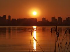 -艾溪湖湿地公园