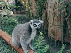 -北京野生动物园