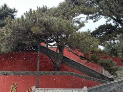 -妙峰山风景名胜区
