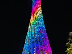 -广州都市观光巴士(粤陶巴)