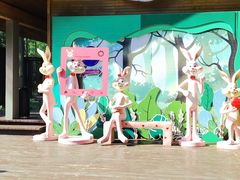 -黄海国家森林公园