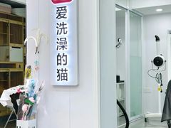 -爱洗澡的猫(望京店)