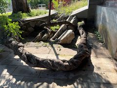 -静莲斋(仙人洞店)