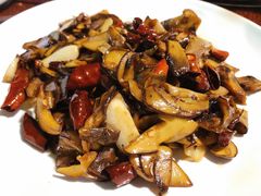 -易门野生菌府·菌海森林(月牙潭公园店)