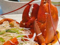 波士顿龙虾-开海·红岛海鲜虾水饺(石老人店)