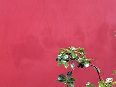-成都杜甫草堂博物馆