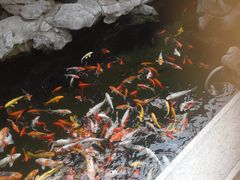 -西林禅寺