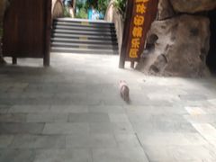 -龙达温泉生态城