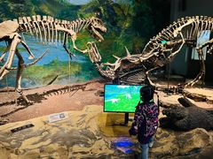 -自贡恐龙博物馆