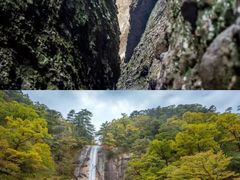 -燕子河大峡谷天坑仙境