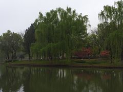 -白塘生态植物园