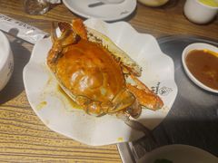 -老号尤兔头(幸福店)